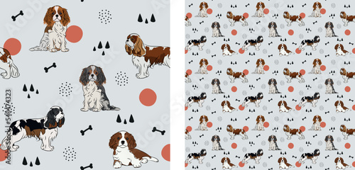 Seamless dog pattern, winter Christmas texture. Square format, t-shirt, poster, packaging, textile, socks, textile, fabric, decoration, wrapping paper. Trendy hand-drawn Cavalier King Charles Spaniel.