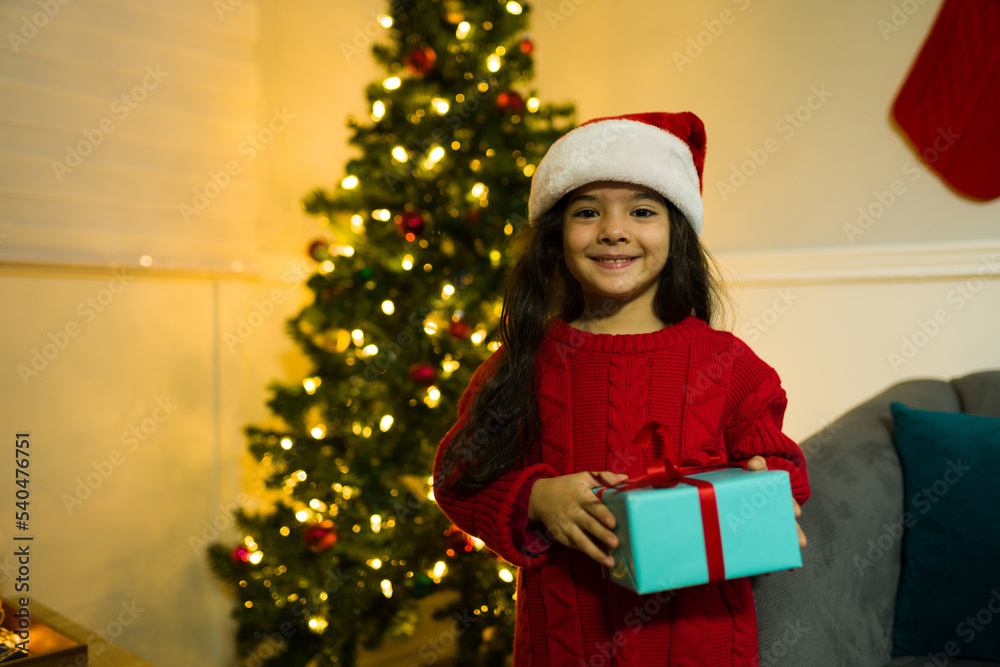 Cute young kid receiving a christmas gift