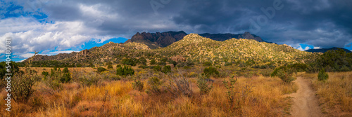 Autumn Southwestern landscape and vibrant foliage of Sandia Mountains in Albuquerque  New Mexico  USA