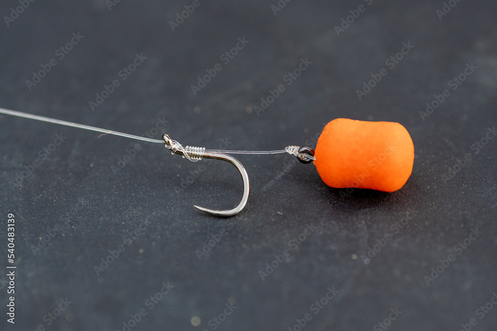 Pellet on a hair spiking bayonet. Bait for carp. Barbless hook tied with a  knotless knot. Stock Photo