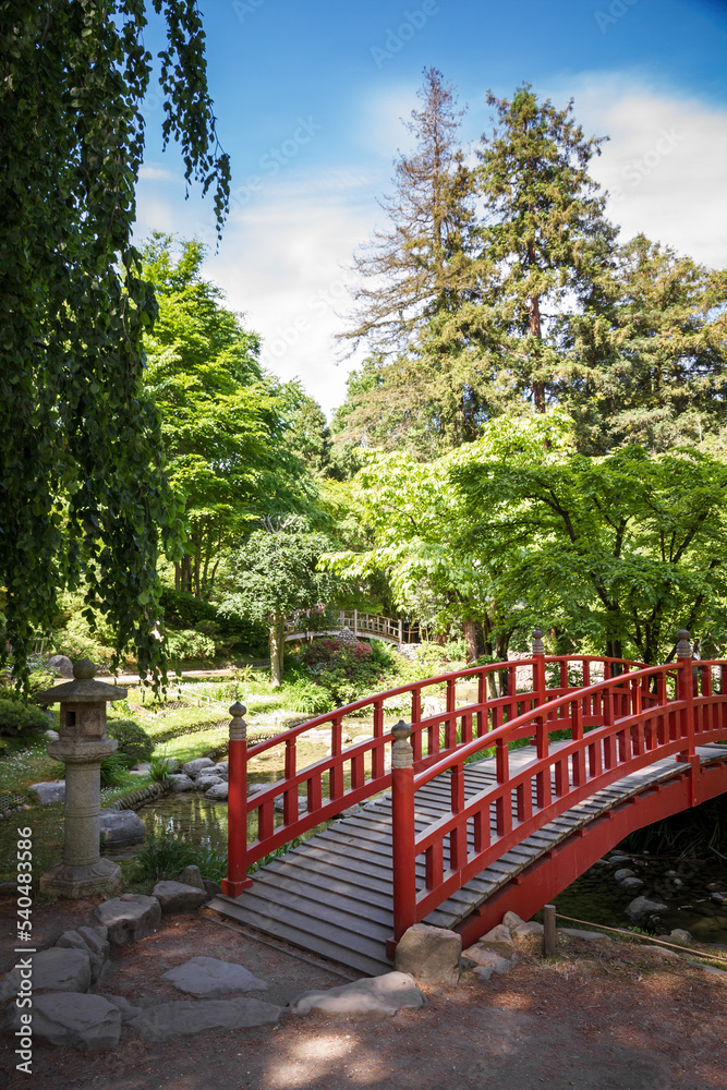 Traditional red wooden bridge on a japanese garden pond