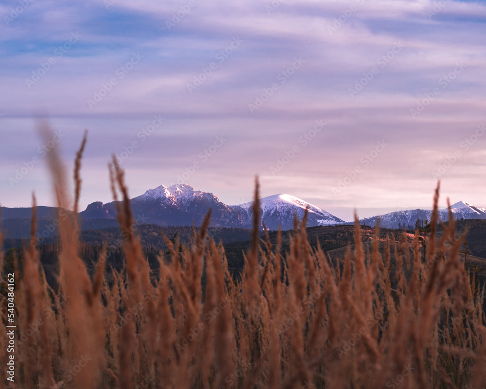 sunset in the field with snowy mountains sunset in the field with snowy mountains
