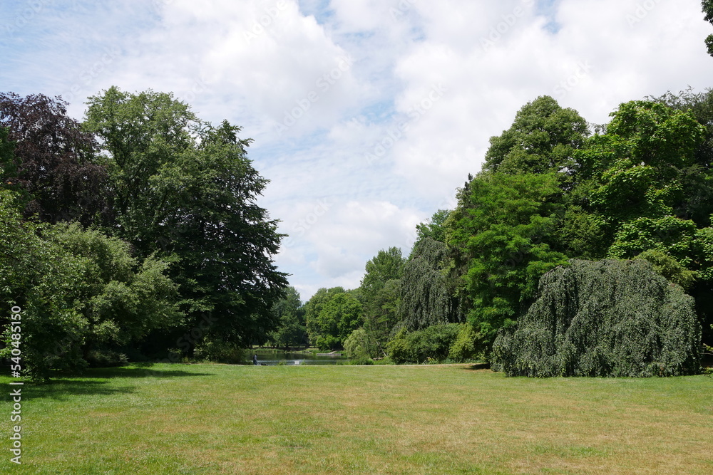 Fototapeta premium Rasen im Kaisergarten Oberhausen