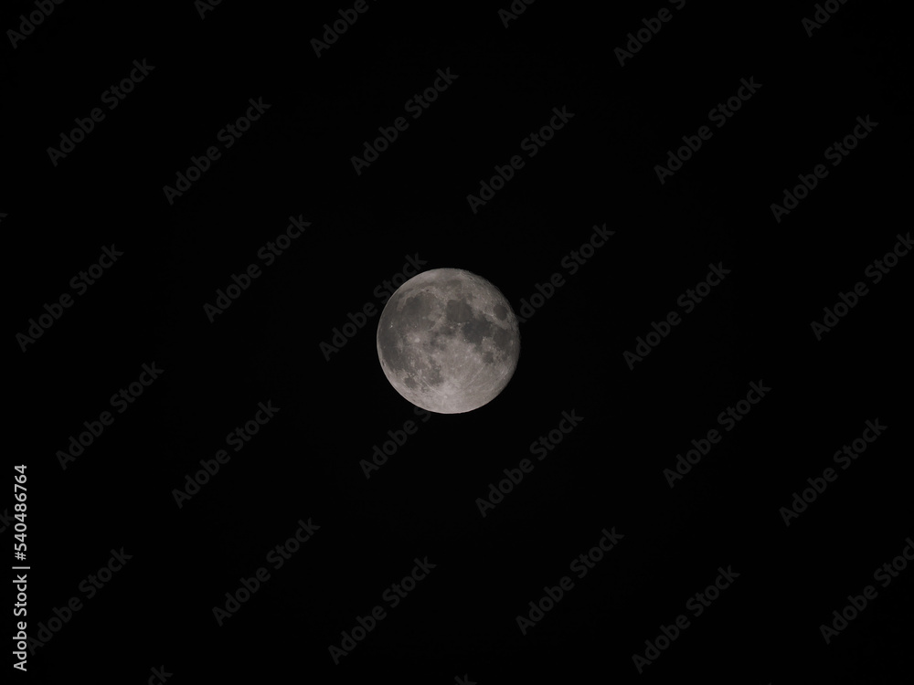 Fototapeta premium 月2