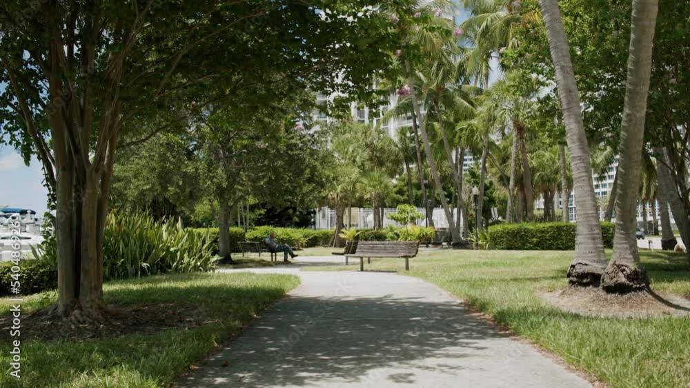 Miami Beach Indian Creek Collins Avenue Quiet Park Miami Beach Indian Creek Collins Avenue Quiet Park