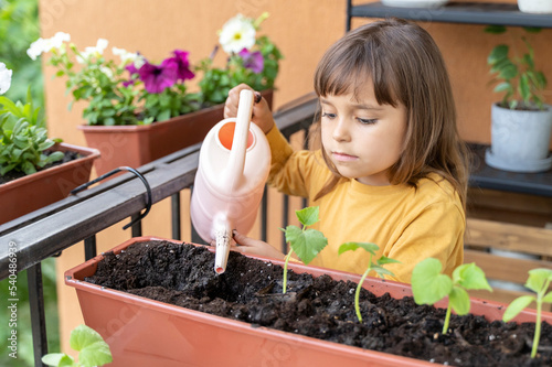 Little girl watering planted seeds from a watering can. Kid plants and waters young seedlings and shoots of greenery indoors. Home gardening with kids on the balcony. education. Homeschooling, Botany