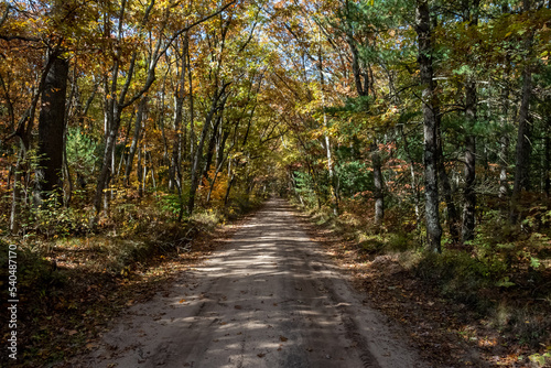 Time in the Fall, Autumn Roads of Michigan, Corn Fields