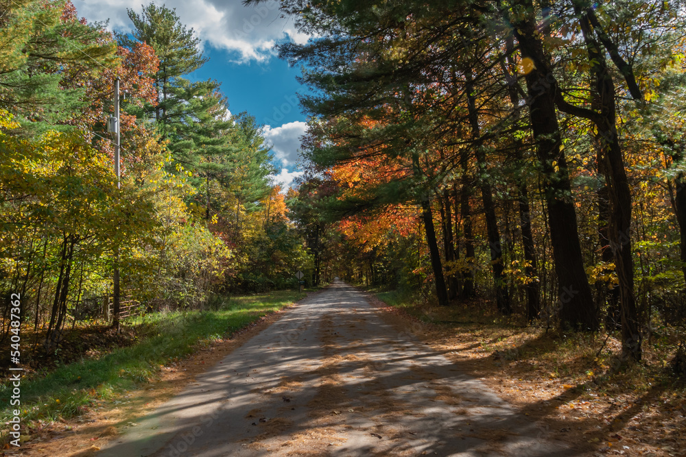 Obraz premium Fall Country Road