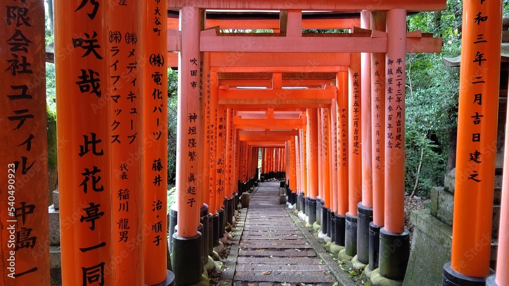 千本鳥居