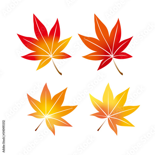 紅葉、もみじ、秋、葉、木の葉、季節、四季