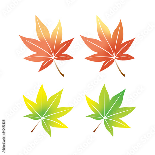 紅葉、もみじ、秋、葉、木の葉、季節、四季