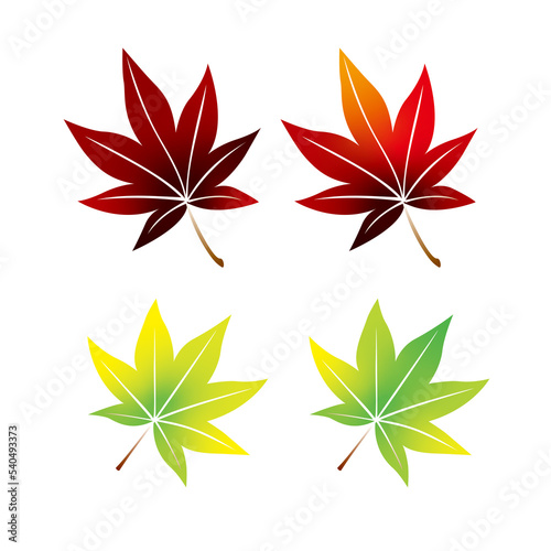 紅葉、もみじ、秋、葉、木の葉、季節、四季