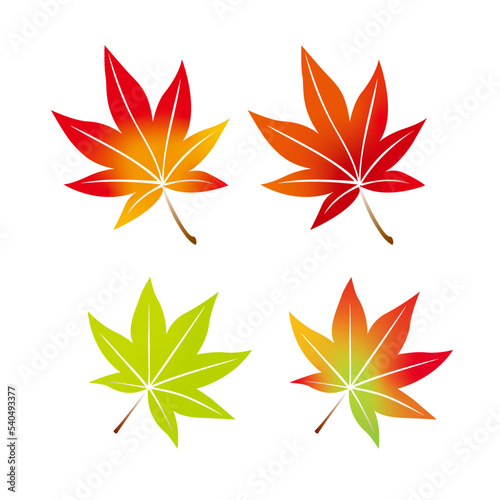 紅葉、もみじ、秋、葉、木の葉、季節、四季