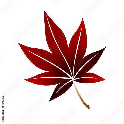紅葉、もみじ、秋、葉、木の葉、季節、四季