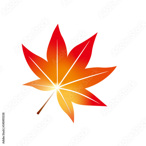紅葉、もみじ、秋、葉、木の葉、季節、四季