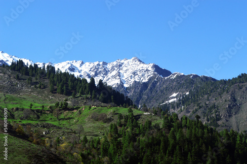 Traditional rural architecture and family livestock farms in the Swat valley.