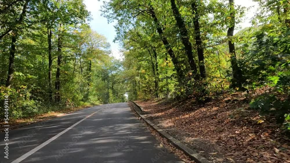 Prise de vue extérieur en voiture sur une route un jour d'automne ensoleillé, 119,88fps ralenti X4 - 29,97fps Prise de vue extérieur en voiture sur une route un jour d'automne ensoleillé, 119,88fps ralenti X4 - 29,97fps