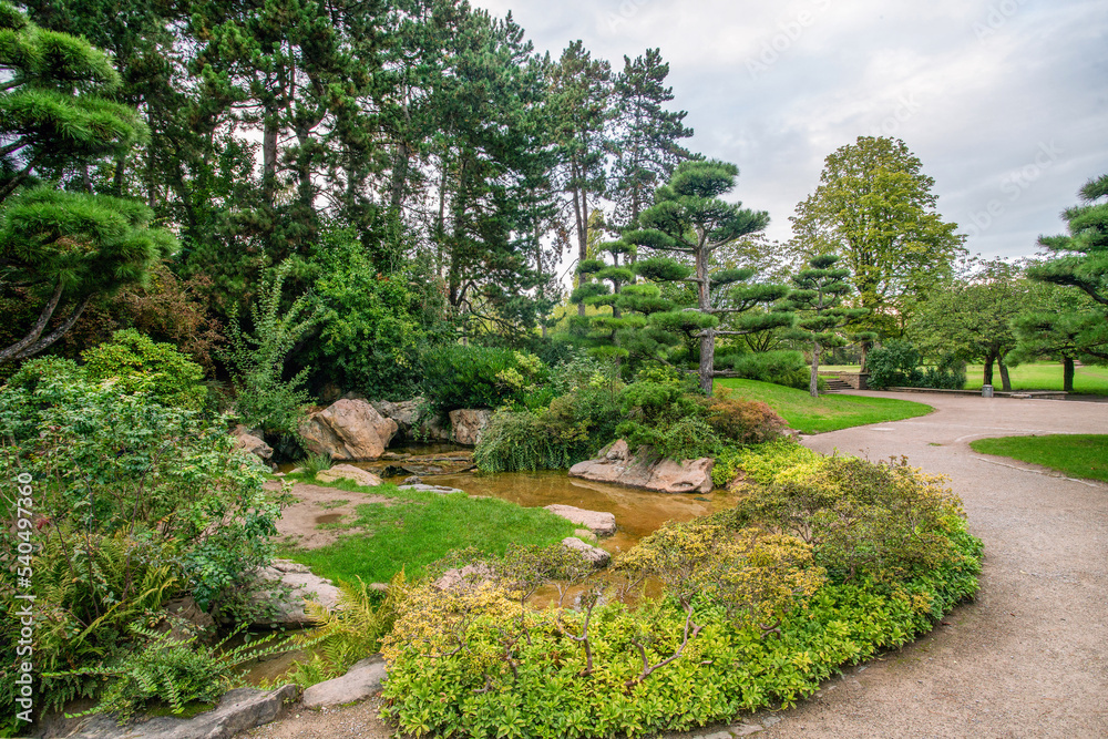 Japanese garden in NORDPARK in Dusseldorf with artificial stream and topiary pine trees and rocks