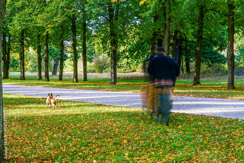 Fotografie Idyllic landscape in Hannover in the park - a blurred cyclist and his funny dog