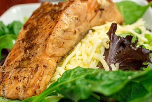 Ginger Soy Salmon Salad - Ginger Soy Salmon on a bed of mixed greens, mozzarella cheese, and hard boiled eggs 