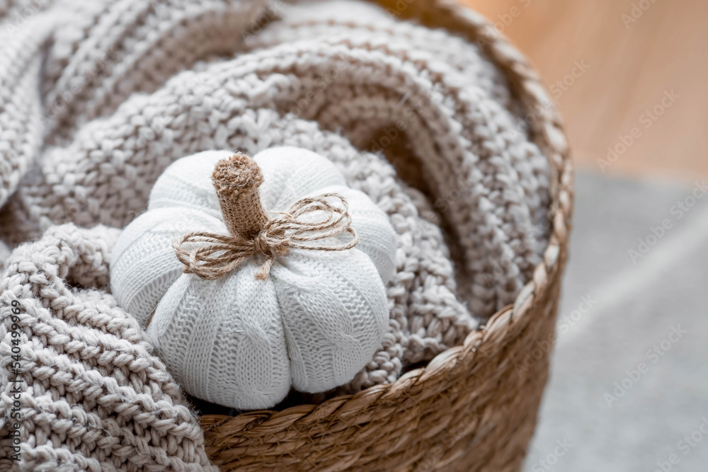 Still-life. Knitted pumpkin, orange pumpkins, beige knitted plaid in a homemade wicker basket. Cozy autumn concept. Home decor. Still-life. Knitted pumpkin, orange pumpkins, beige knitted plaid in a homemade wicker basket. Cozy autumn concept. Home decor.