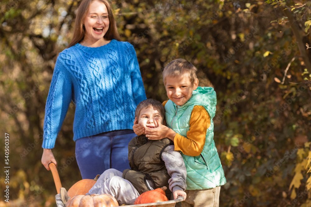 Fototapeta premium Mother have fun time with kids, use garden wheelbarrow