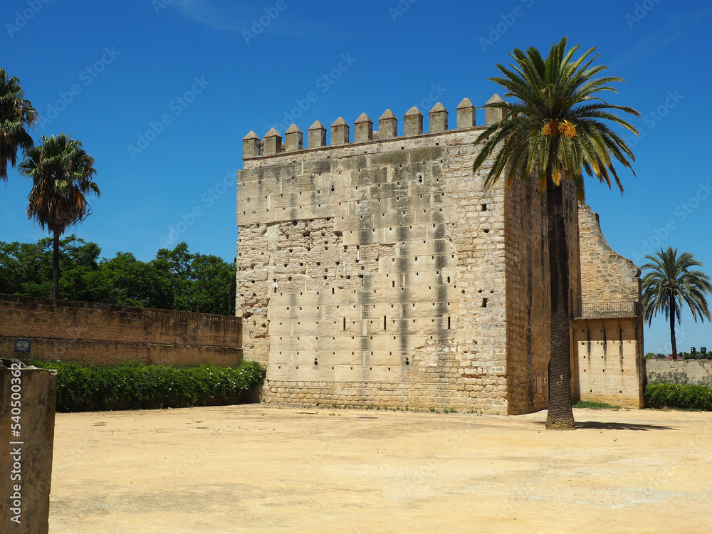 Fortificación de piedra de la época almohade de la antigüedad de la historia junto a una palmera y un cielo azul 