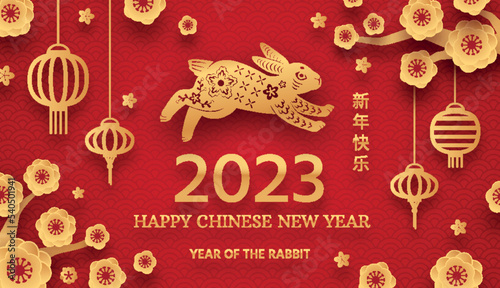Rabbit new year banner. Chinese oriental culture in beijing 2023, seasons abstract hares zodiac bunny golden gong asian lunar horoscope modern poster, ingenious vector illustration