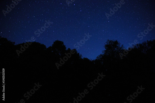 The landscape of the starry sky through the silhouette of tree branches. Night sky scenery in the forest.