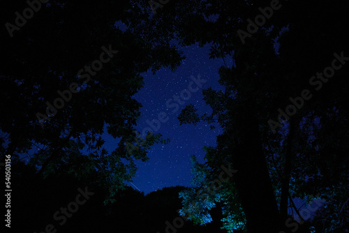 The landscape of the starry sky through the silhouette of tree branches. Night sky scenery in the forest.