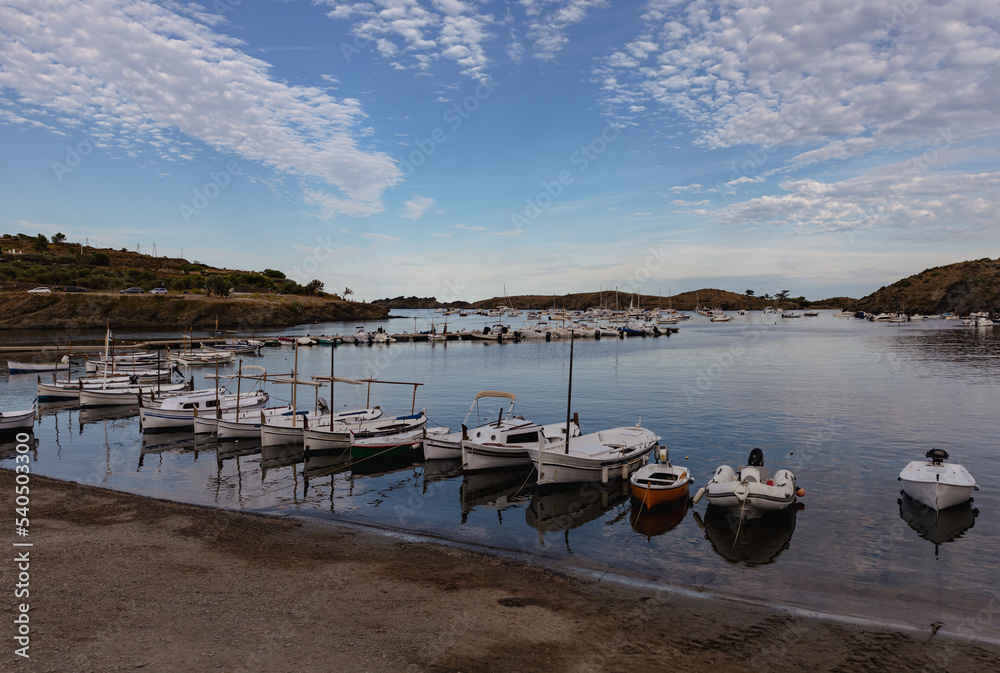 boats in the harbor