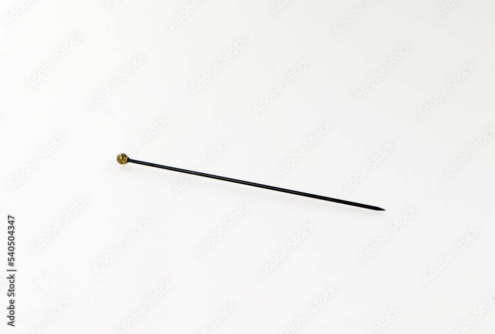 Insect pin isolated on white, special needle for pricking insects for entomological collections close-up Insect pin isolated on white, special needle for pricking insects for entomological collections close-up