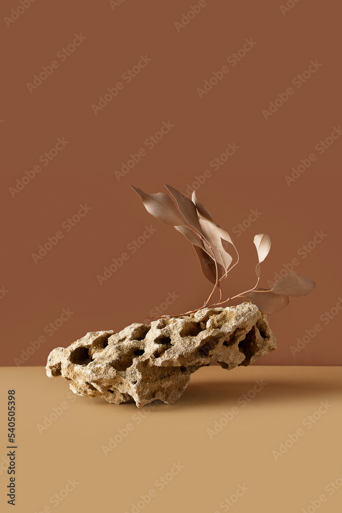 Stone podium mock up with dry leaves, mock up for product cosmetic Stone podium mock up with dry leaves, mock up for product cosmetic