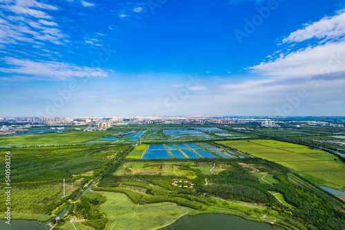 Aerial photo of wetland in Xiqing Country Park  Tianjin