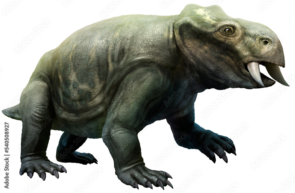 Fototapeta premium Placerias from the Triassic era 3D illustration 