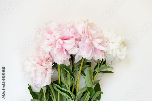 Fototapeta Naklejka Na Ścianę i Meble -  Bouquet of flowers. Pink and white peonies on white background. Beautiful flowers for valentines and wedding scene. Valentines and 8 March Mother Women's Day concept.