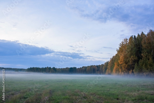 September fog in the field
