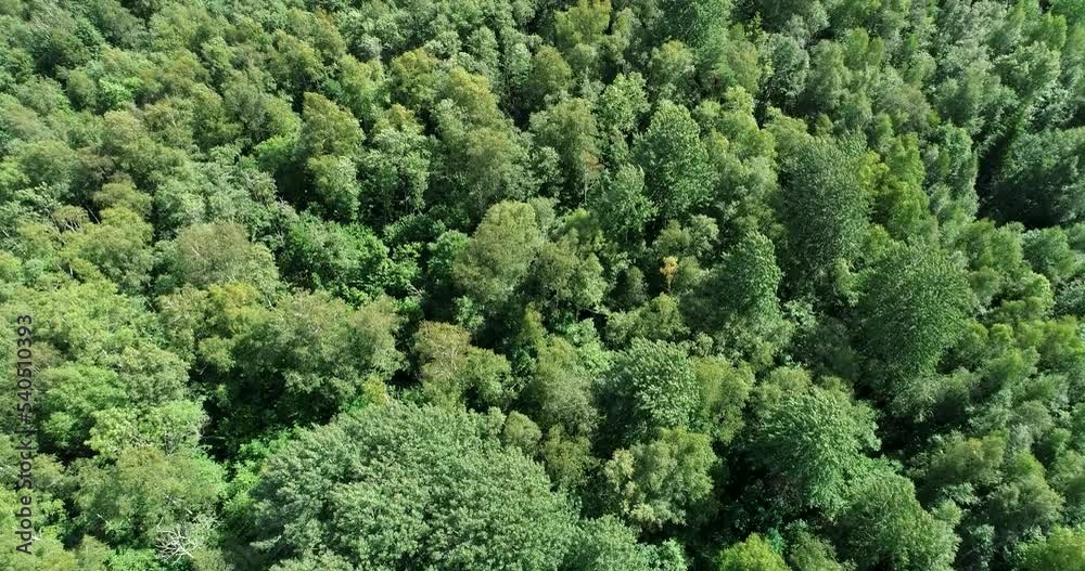 Aerial over a summery deciduous forest with a harsh daytime light in Western Estonia. Aerial over a summery deciduous forest with a harsh daytime light in Western Estonia.