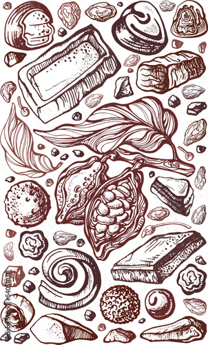 Chocolate sweet with cocoa fruit Vector background