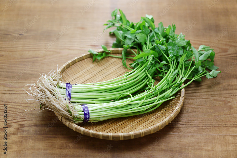 Seri (Japanese parsley) from Sendai on a bamboo tray.
The meaning of the Chinese letters is Japanese parsley from Sendai. Seri (Japanese parsley) from Sendai on a bamboo tray.
The meaning of the Chinese letters is Japanese parsley from Sendai.
