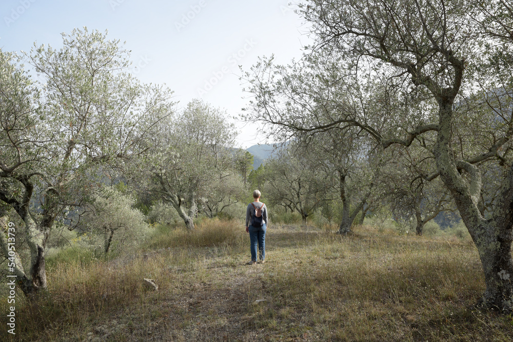 femme seule au milieu d'une oliveraie 