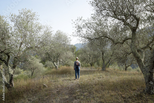 femme seule au milieu d'une oliveraie  © DOMINIQUE MARIOTTI