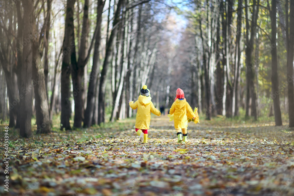 Fototapeta premium Children are walking in the autumn park