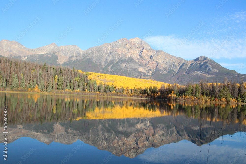 reflection in the lake