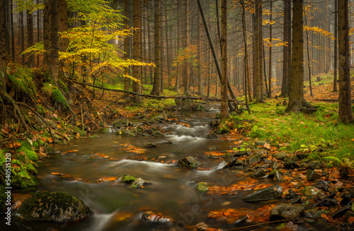 Fototapeta Naklejka Na Ścianę i Meble -  Hamersky creek with waterfalls in Luzicke mountains in color autumn day