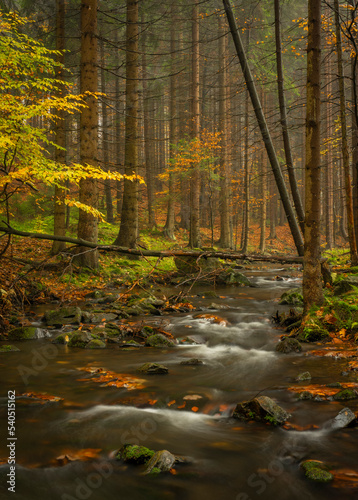 Fototapeta Naklejka Na Ścianę i Meble -  Hamersky creek with waterfalls in Luzicke mountains in color autumn day