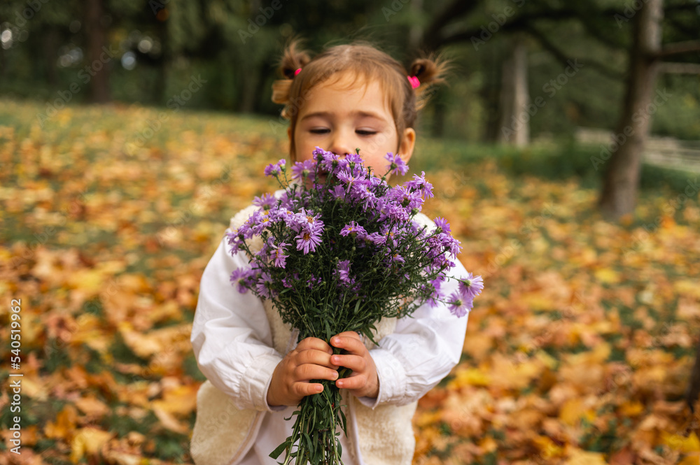 portrait of a smiling, emotional little girl in an autumn park, autumn leaves, nature, park portrait of a smiling, emotional little girl in an autumn park, autumn leaves, nature, park