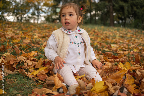 portrait of a smiling  emotional little girl in an autumn park  autumn leaves  nature  park
