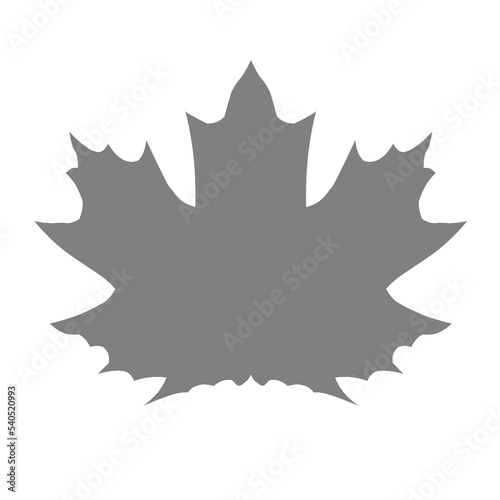 Maple Leaf. Stylized image of a plant. Texture.