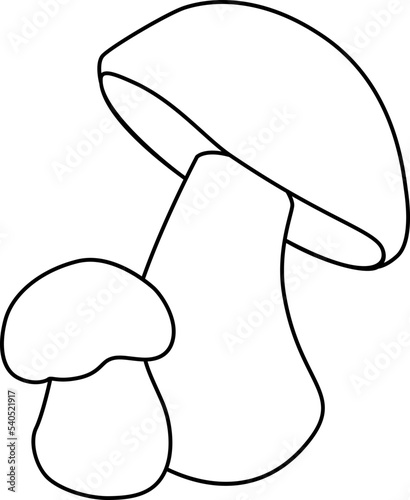 Сep, Penny bun, two edible forest mushrooms - vector linear picture for coloring book, logo or pictogram. Outline. Boletus edulis, penny bun - delicacy mushrooms for icon or sign